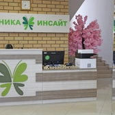 Инсайт на Ясеневой