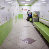 Доктор-А на Мельникайте