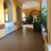 Центральная клиническая больница Святителя Алексия