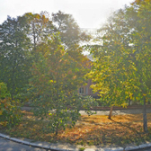 Стоматологический кабинет «Липецк-Дент»