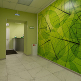 «Единый медицинский центр»