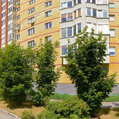 Стоматологическая клиника «Полиспектрум»