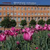 СПб ГБУЗ "Введенская больница"