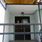 Данлей на Фучика