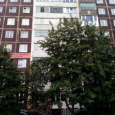 Стоматология «Север Дент»