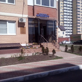ФлебоАрт на Репина