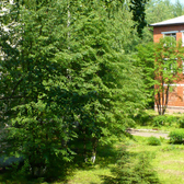 Республиканская психиатрическая больница