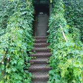 Стоматология «Мистер Зуб»