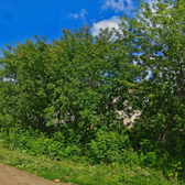 Психиатрический диспансер