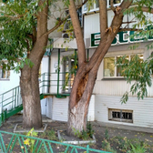 Стоматология «Эстет»