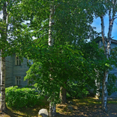 Наркологический диспансер на Федосовой