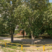 Врачебно-физкультурный диспансер