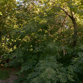 Стоматология «Ника-Н»