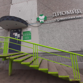 Диомид в Закамске