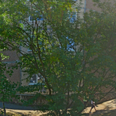 Детская поликлиника №1 на Жуковского