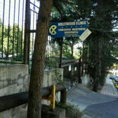 Стоматологическая клиника «Hollywood-Clinic»