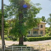 Поликлиника №1 на Пушкина