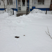 Стоматология «Интермед»