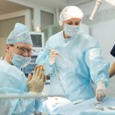 Дента Стиль на Пожалостина