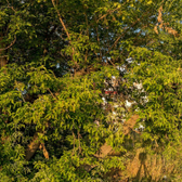 Стоматологический салон «Евродент»