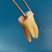 Стоматологический кабинет «Стоматолог на Красавинской»