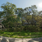 Стоматология «Про зубы» (ранее Клиника доктора Бузукина)