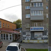 Практик на Борчанинова