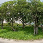 Детская поликлиника №2