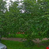 Медицинский центр «Хэлп»