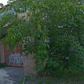 Стоматологическая клиника «Витастом»