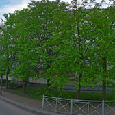 Кабинет врача Боровикова