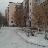 Диагрупп на Павлова