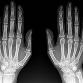 Пикассо на Ленинградском