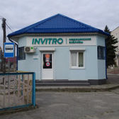 Инвитро в Чегеме