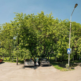 Больница №11