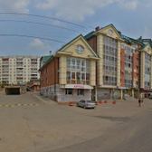 Арника на проспекте Жукова