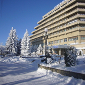 Санаторий «Дон»