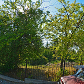 Кожно-венерологический диспансер №2