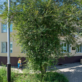 Женская консультация №2 на Молдавском