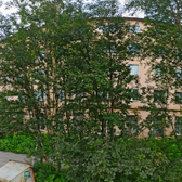 Поликлиника №2 на Полярной Дивизии