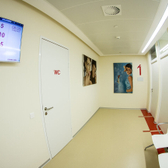 Чайка в Белых садах