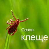 Каринторфская больница