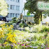 Угодие, Наркологическая клиника