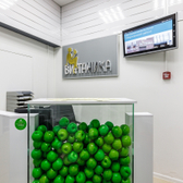 Витаника на Белы Куна