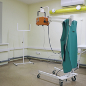 Эксперт на Родионова