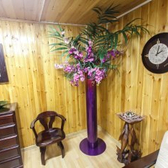 Клиника «Ваяна»