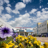 Перинатальный центр «Мама Патимат»