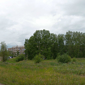 Кожно-венерологический диспансер