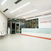 Чайка в Москва-Сити