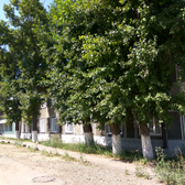 Психиатрическая больница